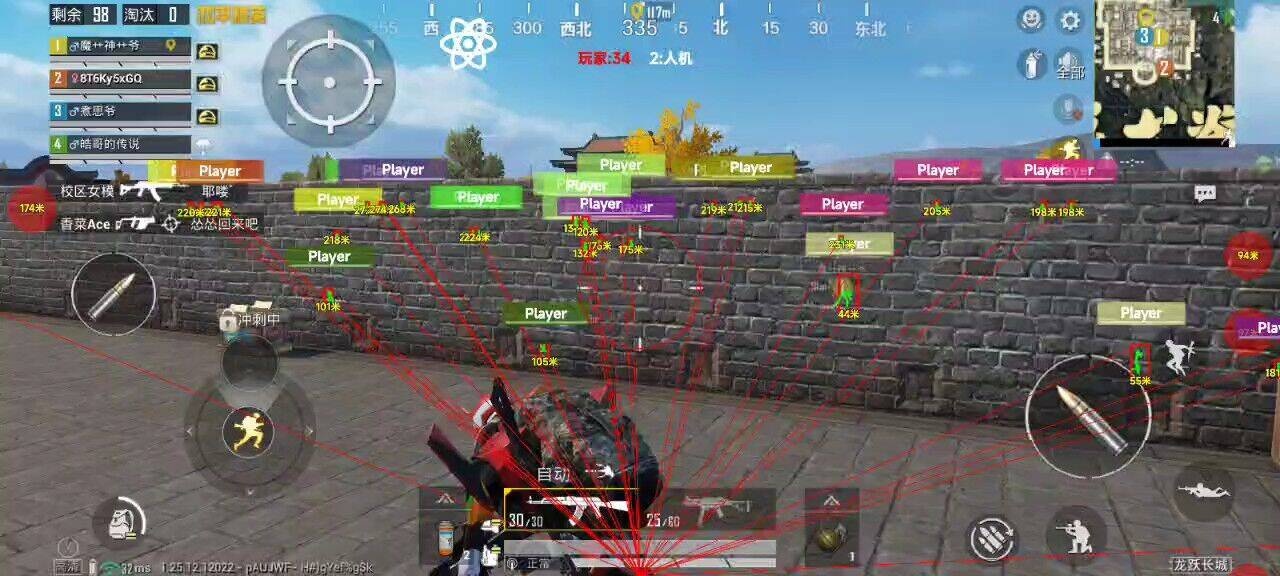 和平精英辅助【萝卜直装V1.0】人物透视 开镜开火自瞄 全枪无死角漏打 追踪扫车打鸟