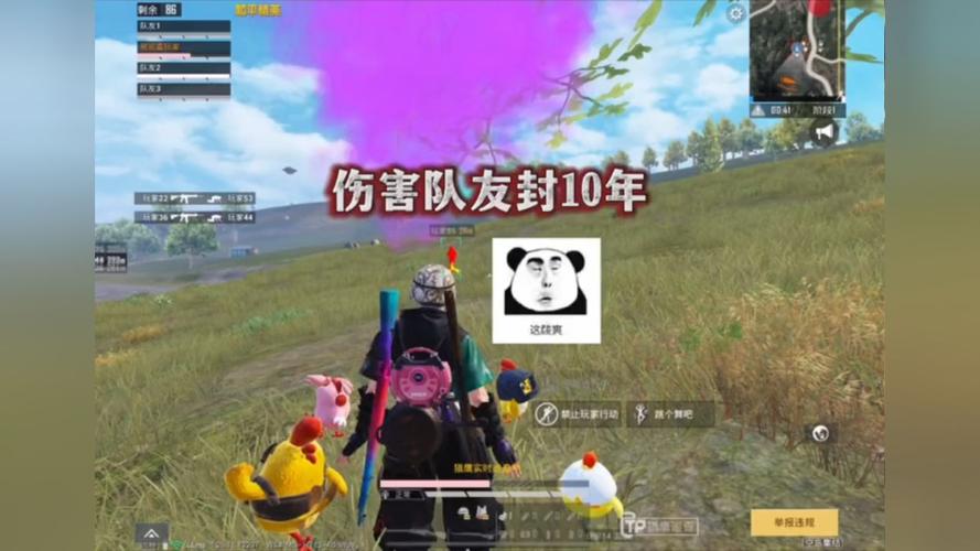 和平精英「青蛙直装」辅助，支持地铁